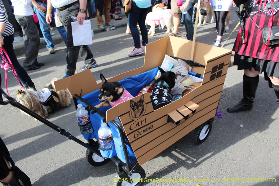 Mystic-Krewe-of-Barkus-2015-13161