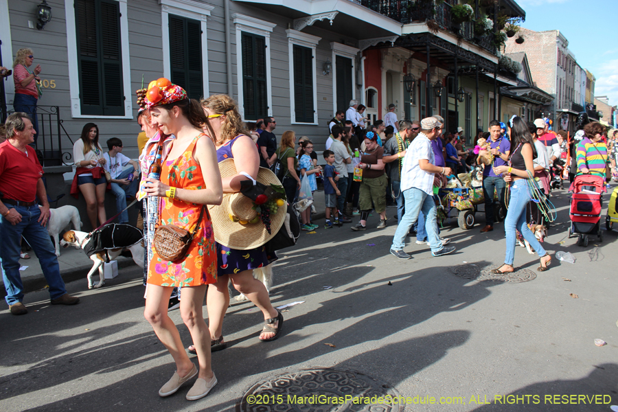 Mystic-Krewe-of-Barkus-2015-13162