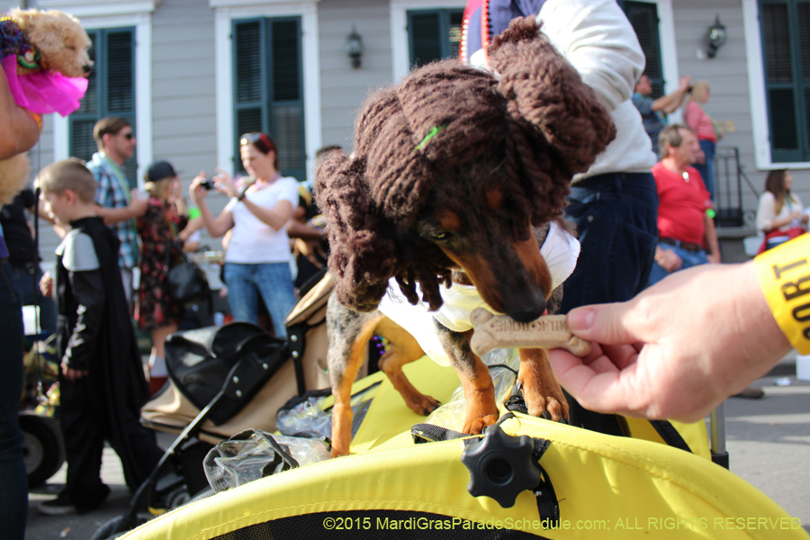 Mystic-Krewe-of-Barkus-2015-13164