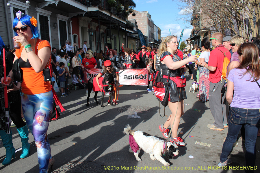 Mystic-Krewe-of-Barkus-2015-13165