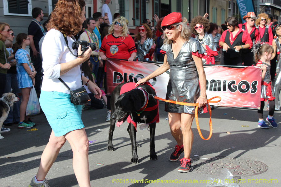 Mystic-Krewe-of-Barkus-2015-13166