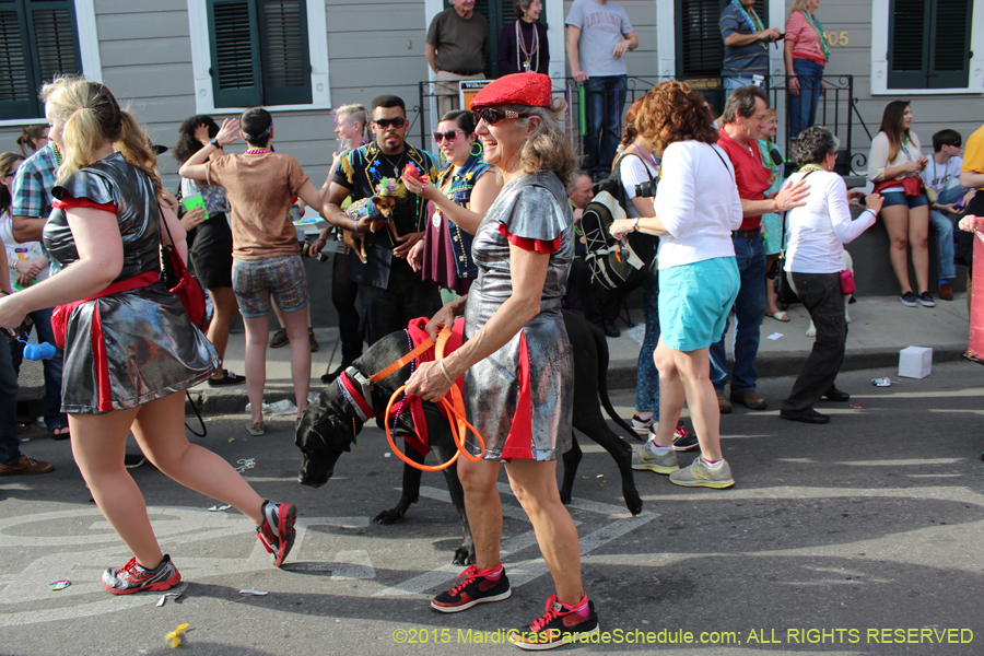 Mystic-Krewe-of-Barkus-2015-13167