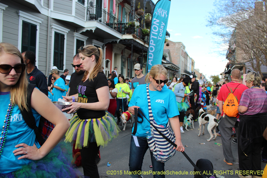 Mystic-Krewe-of-Barkus-2015-13173