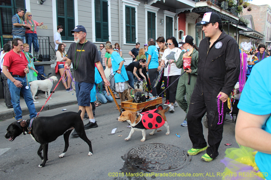 Mystic-Krewe-of-Barkus-2015-13174