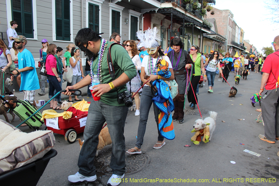 Mystic-Krewe-of-Barkus-2015-13175