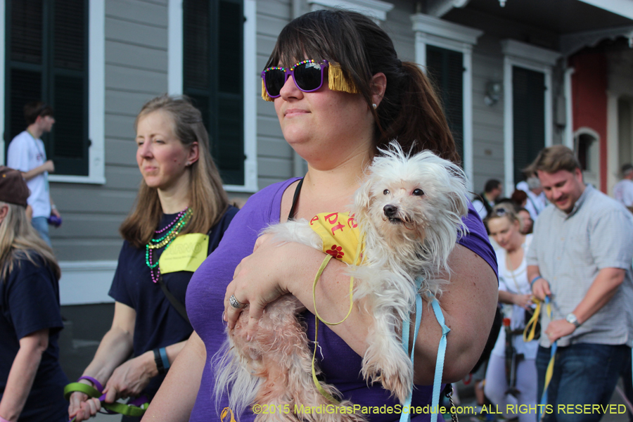 Mystic-Krewe-of-Barkus-2015-13178