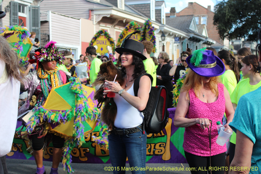 Mystic-Krewe-of-Barkus-2015-13189