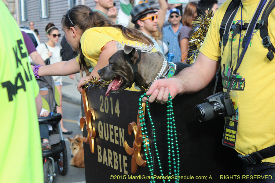 Mystic-Krewe-of-Barkus-2015-13191