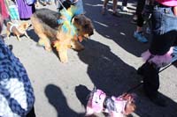 Mystic-Krewe-of-Barkus-2015-13047