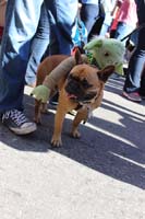 Mystic-Krewe-of-Barkus-2015-13051