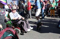 Mystic-Krewe-of-Barkus-2015-13061