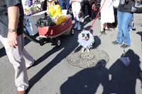 Mystic-Krewe-of-Barkus-2015-13064