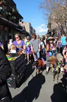 Mystic-Krewe-of-Barkus-2015-13075