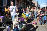 Mystic-Krewe-of-Barkus-2015-13077