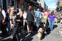 Mystic-Krewe-of-Barkus-2015-13081