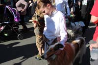 Mystic-Krewe-of-Barkus-2015-13086