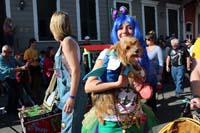 Mystic-Krewe-of-Barkus-2015-13090