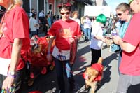 Mystic-Krewe-of-Barkus-2015-13103