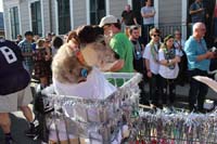 Mystic-Krewe-of-Barkus-2015-13119