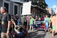 Mystic-Krewe-of-Barkus-2015-13127