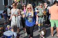 Mystic-Krewe-of-Barkus-2015-13129