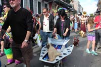 Mystic-Krewe-of-Barkus-2015-13138