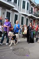 Mystic-Krewe-of-Barkus-2015-13143