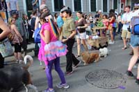 Mystic-Krewe-of-Barkus-2015-13144