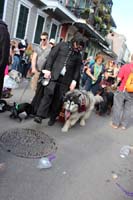 Mystic-Krewe-of-Barkus-2015-13146