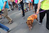 Mystic-Krewe-of-Barkus-2015-13171