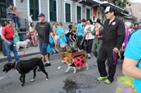 Mystic-Krewe-of-Barkus-2015-13174