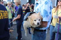 Mystic-Krewe-of-Barkus-2015-13181