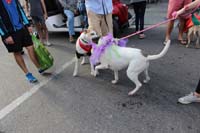 Mystic-Krewe-of-Barkus-2015-13183