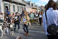 Mystic-Krewe-of-Barkus-2015-13185