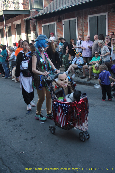 2016-Mystic-Krewe-of-Barkus-004648