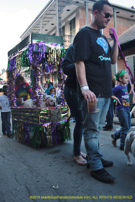 2016-Mystic-Krewe-of-Barkus-004651