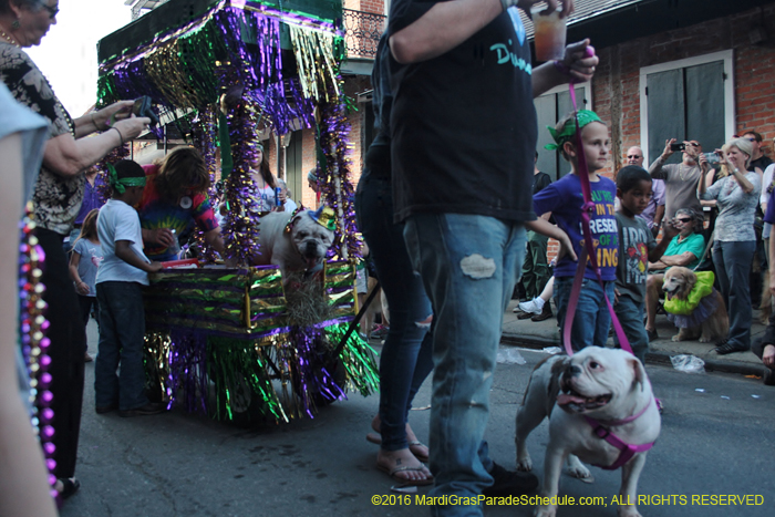 2016-Mystic-Krewe-of-Barkus-004653