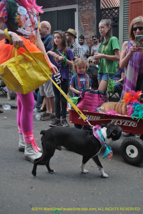 2016-Mystic-Krewe-of-Barkus-004689