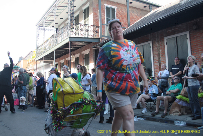 2016-Mystic-Krewe-of-Barkus-004702