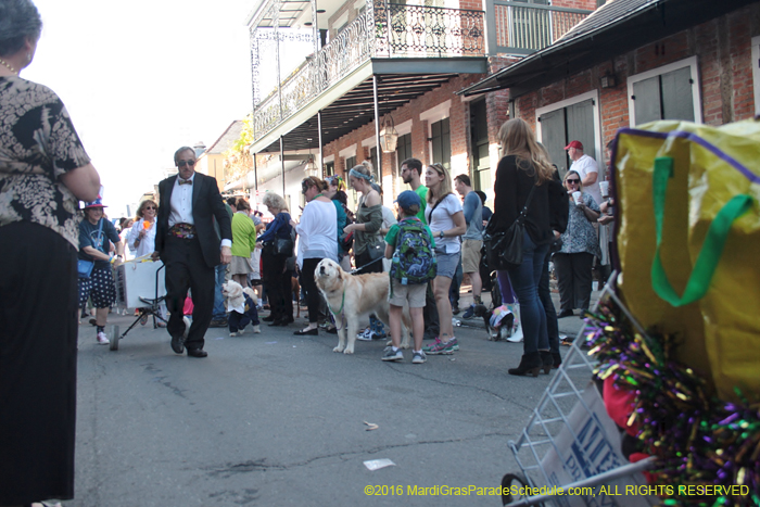 2016-Mystic-Krewe-of-Barkus-004703