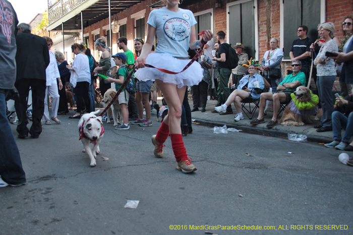 2016-Mystic-Krewe-of-Barkus-004704