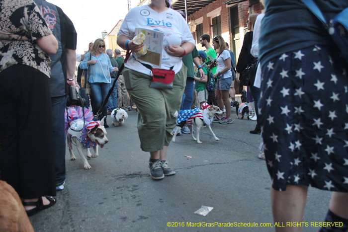 2016-Mystic-Krewe-of-Barkus-004708