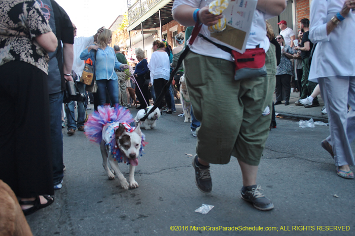 2016-Mystic-Krewe-of-Barkus-004709