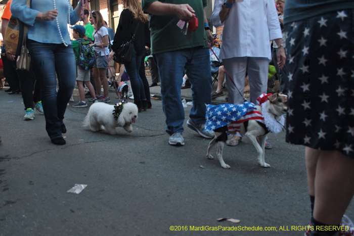 2016-Mystic-Krewe-of-Barkus-004711