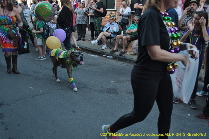 2016-Mystic-Krewe-of-Barkus-004716