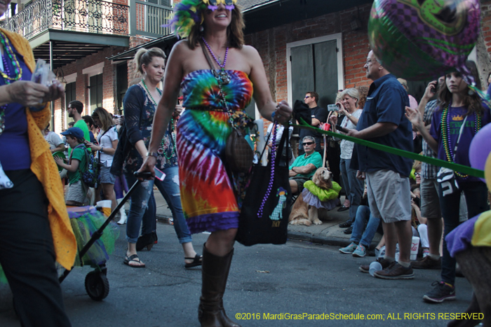 2016-Mystic-Krewe-of-Barkus-004719