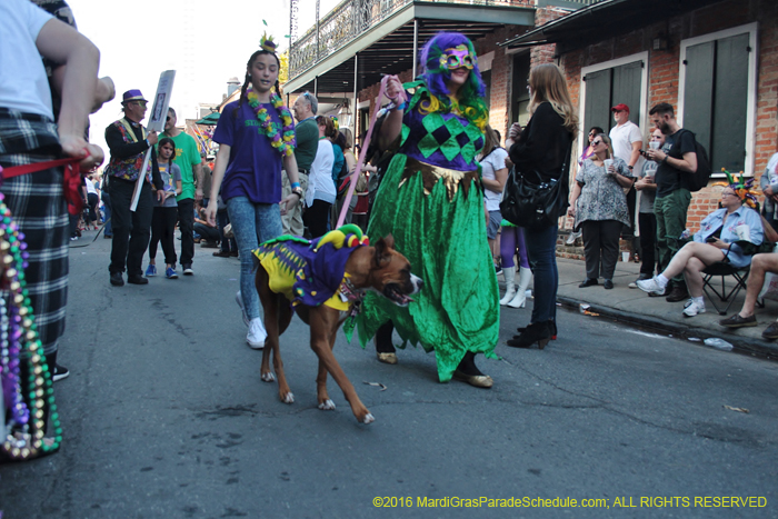 2016-Mystic-Krewe-of-Barkus-004722