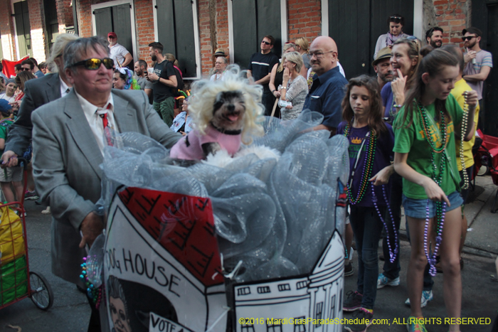 2016-Mystic-Krewe-of-Barkus-004740