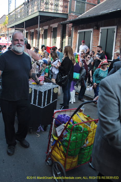 2016-Mystic-Krewe-of-Barkus-004741