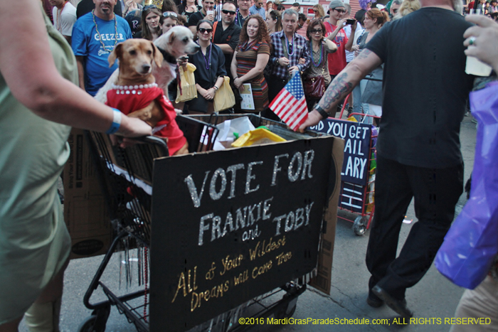 2016-Mystic-Krewe-of-Barkus-004745